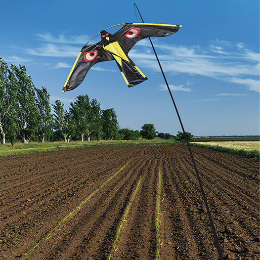 Falcão voador repel aves + mastro telescópico 4m MSO (Uni)